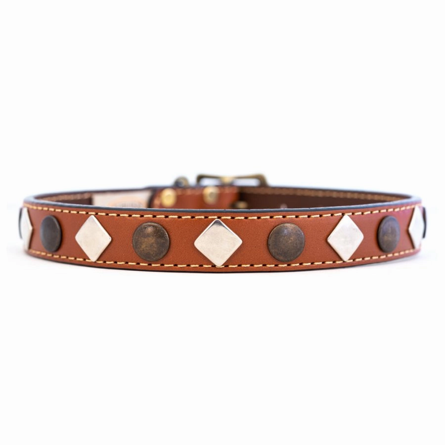 Heirloom Studded Collar in Many Colors