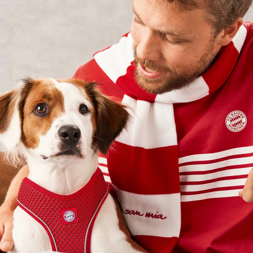 Hunter Hilo Comfort FC Bayern Mnchen Harness for Dogs (Red)