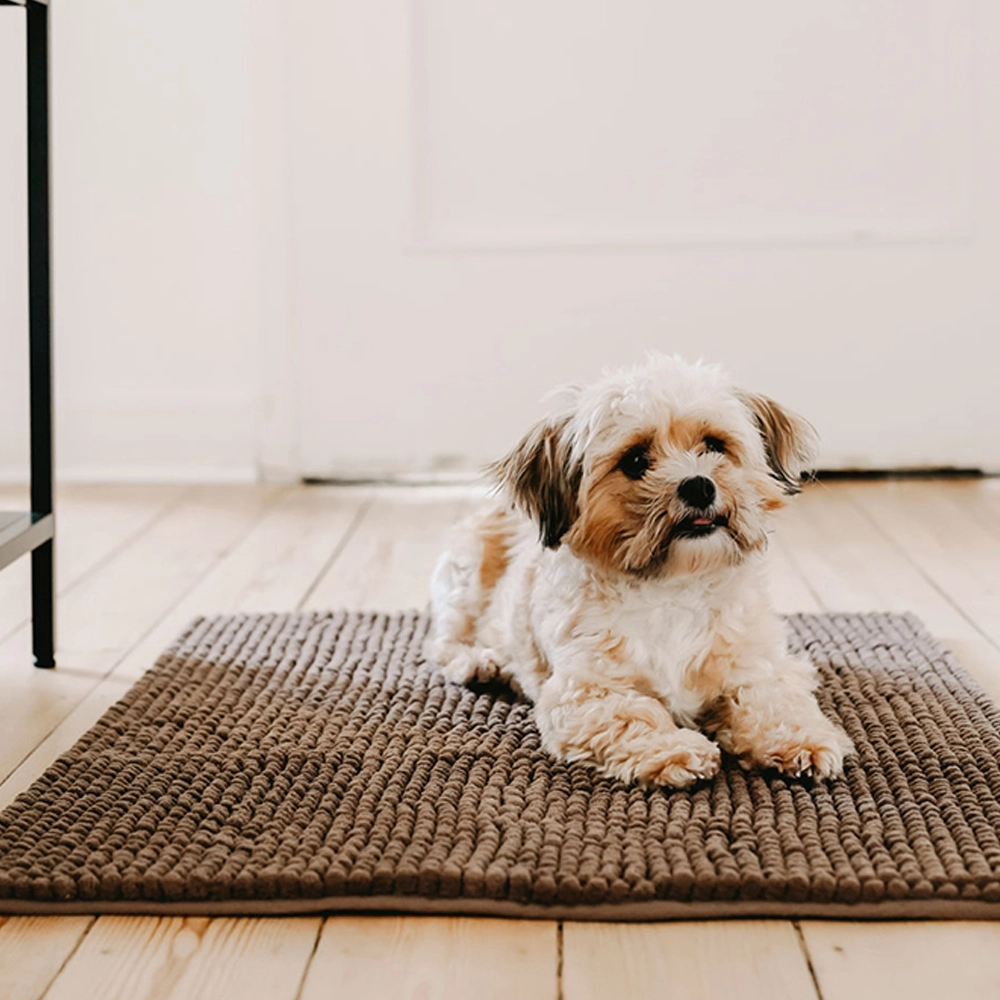 Hunter Waterloo Brush Mat for Dogs (Brown)