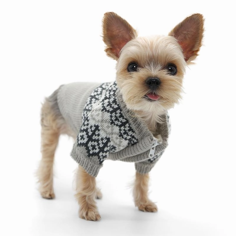 Icelandic Dog Sweater