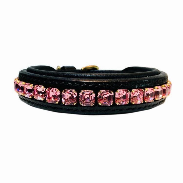 Imperial Dog Collar #1
