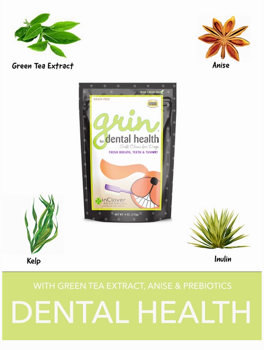 InClover Grin Dental Health Soft Chews Supplement for Dogs