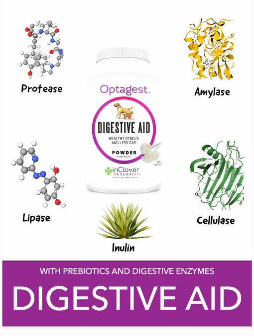 InClover Optagest Plant Based Prebiotics & Digestive Enzymes Travel Sticks for Dogs & Cats