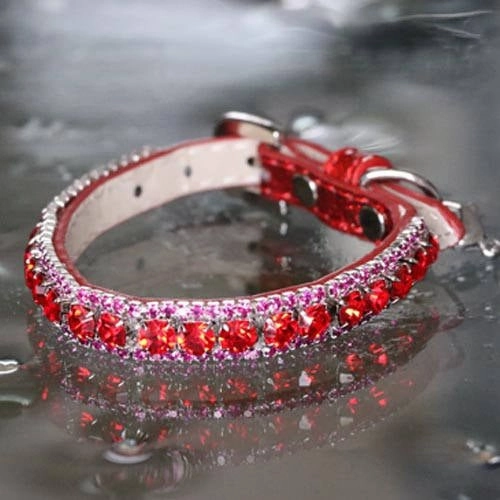 Inner Harmony - Root Chakra Inspired Pet Collar