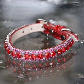 Inner Harmony - Root Chakra Inspired Pet Collar