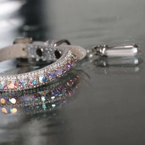 Inner Harmony Pet Collar - Aura Chakra Inspired