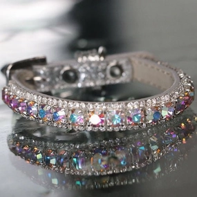 Inner Harmony Pet Collar - Aura Chakra Inspired