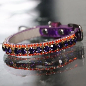 Inner Harmony Pet Collar - Brow Chakra Inspired