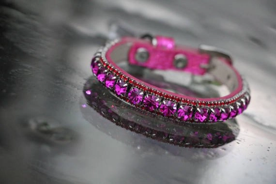 Inner Harmony Pet Collar - Crown Chakra Inspired