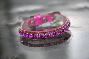 Inner Harmony Pet Collar - Crown Chakra Inspired