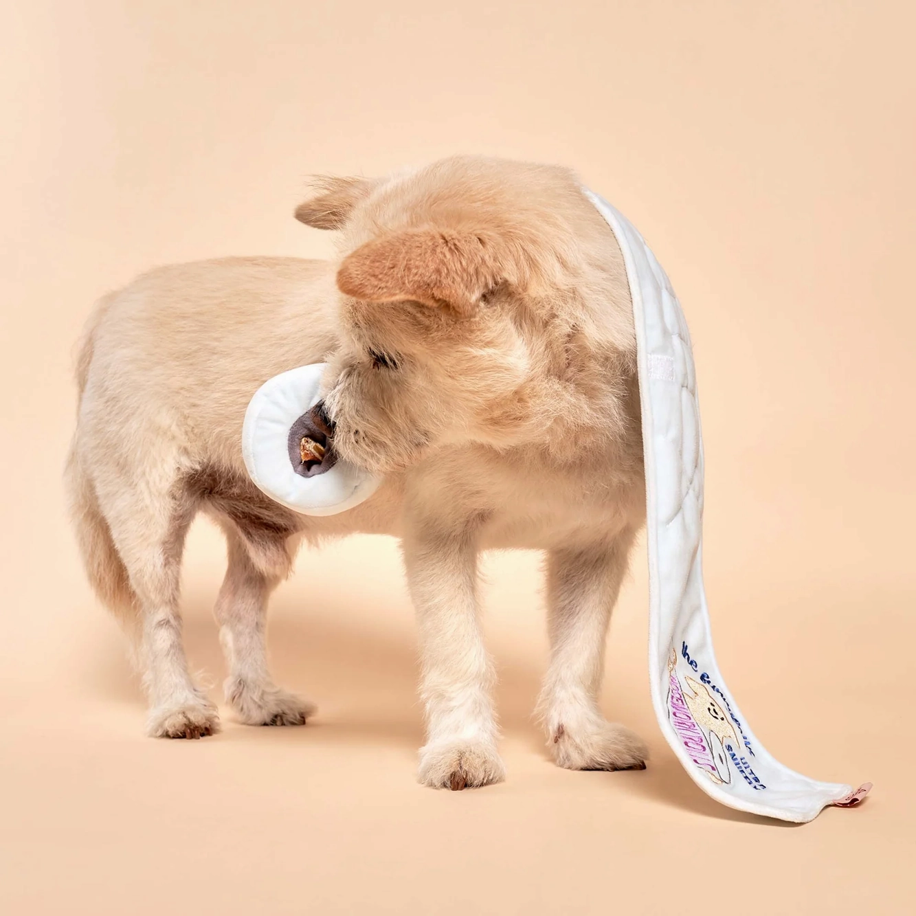 Interactive Nosework Dog Toy, Toilet Paper