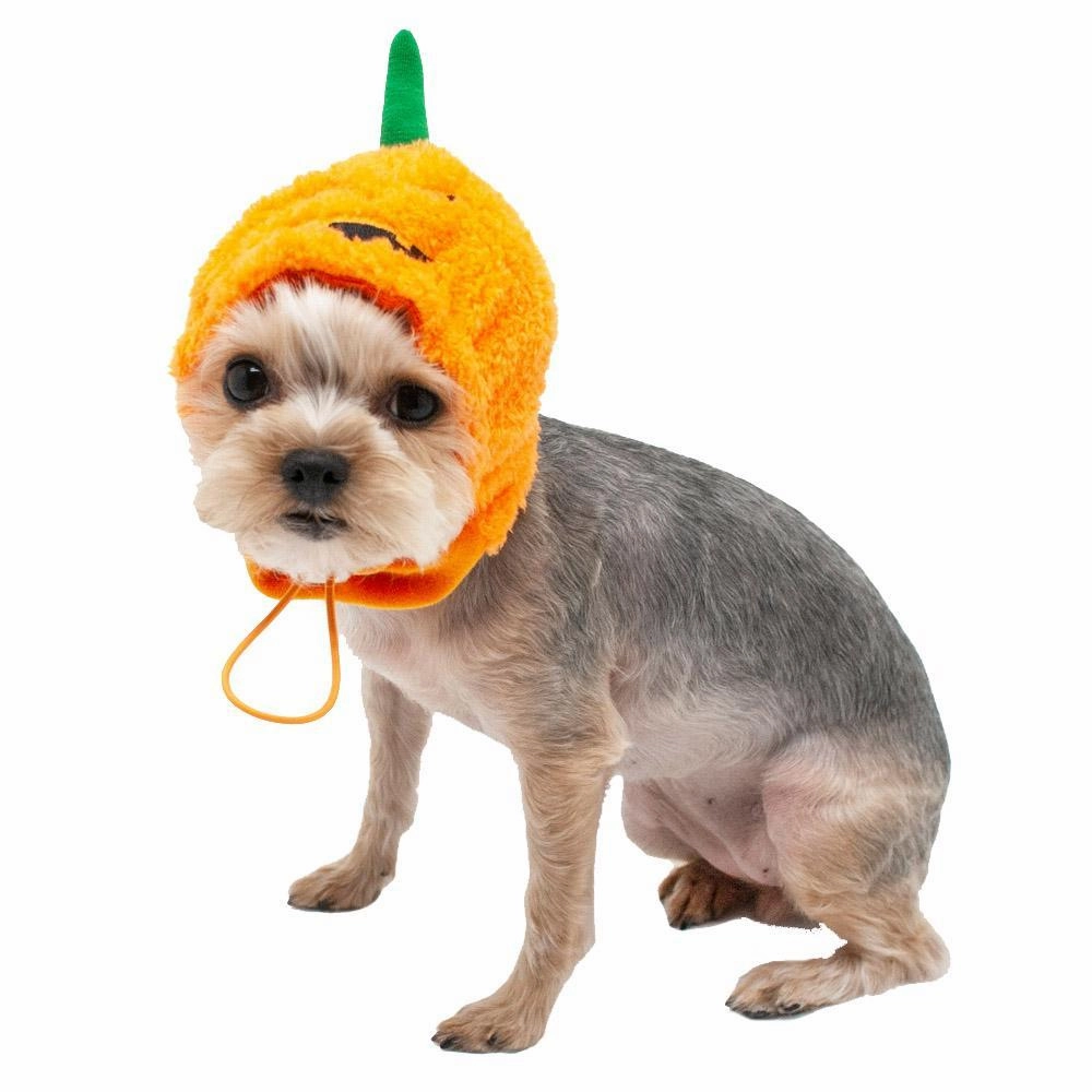 Jack O Dog Hat