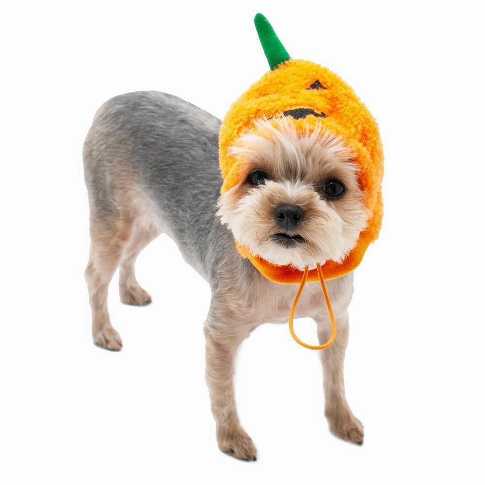 Jack O Dog Hat