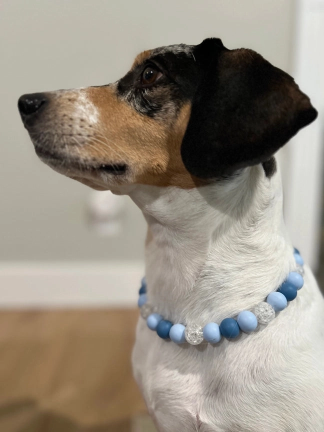 Kai Dainty Collective Beaded Collar