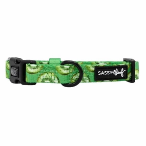 Kiwi Krazy Collar