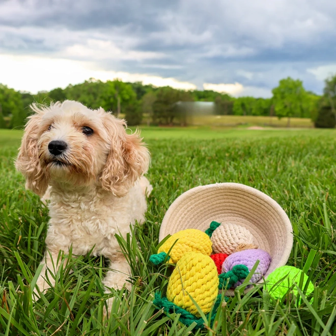 Knotty Interactive Upcycled Cotton Rope Dog Toy, Eggplant
