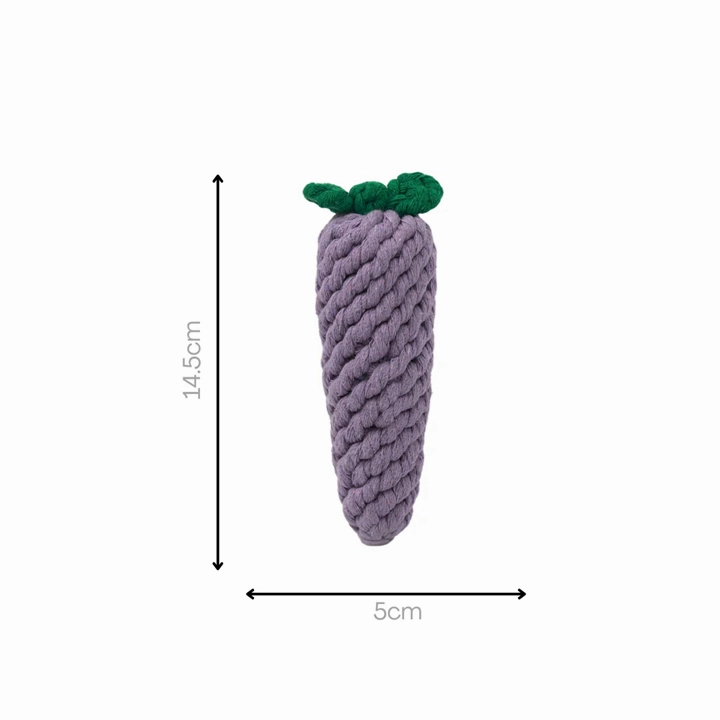 Knotty Interactive Upcycled Cotton Rope Dog Toy, Eggplant