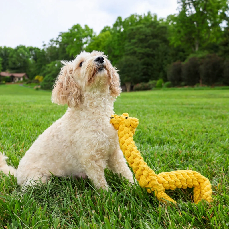 Knotty Interactive Upcycled Cotton Rope Dog Toy, Joy the Giraffe