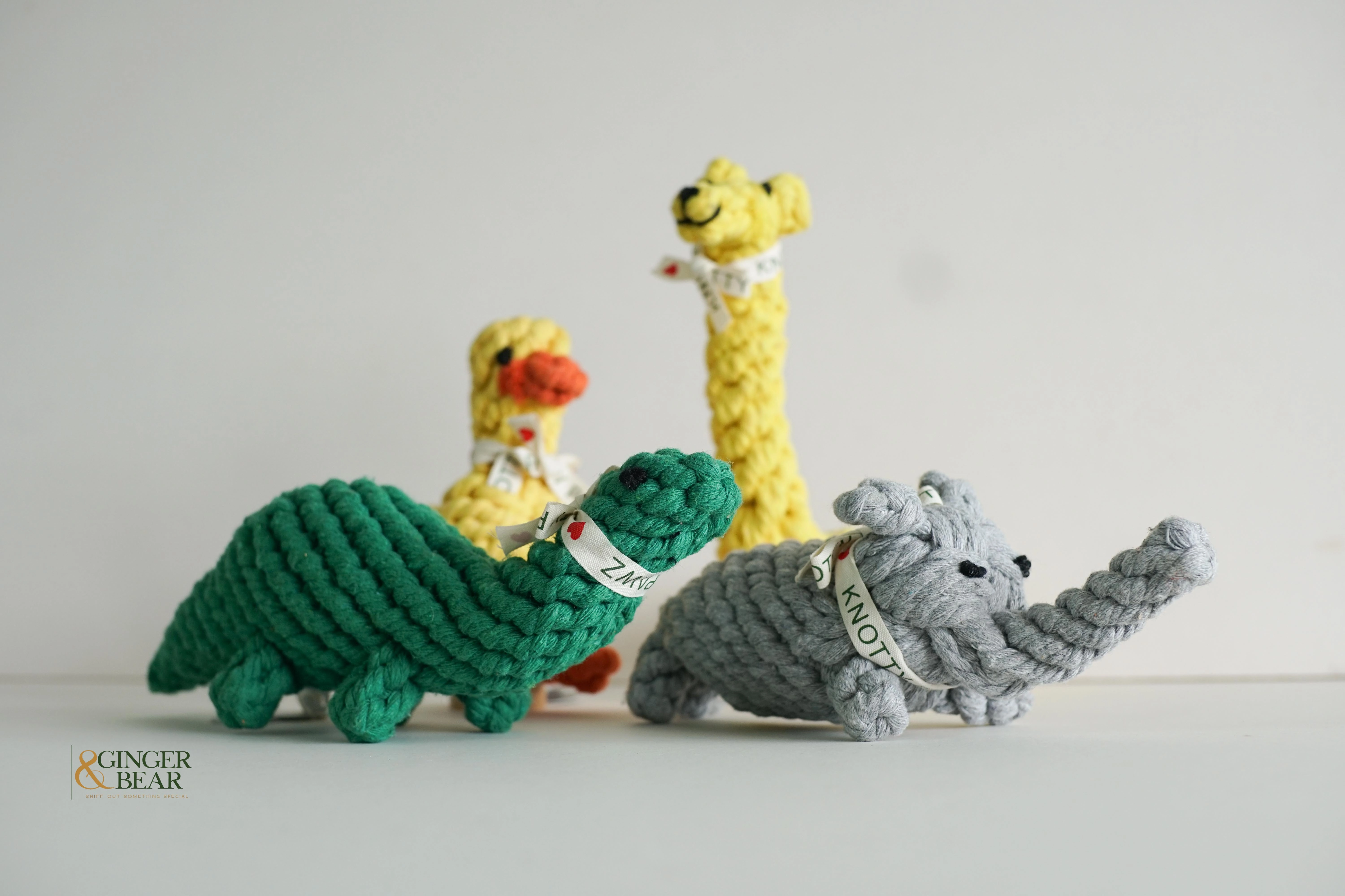 Knotty Interactive Upcycled Cotton Rope Dog Toy, Rex the Green Dinosaur