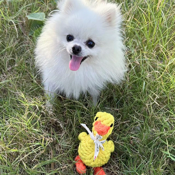 Knotty Interactive Upcycled Cotton Rope Dog Toy, Sunny the Yellow Duck