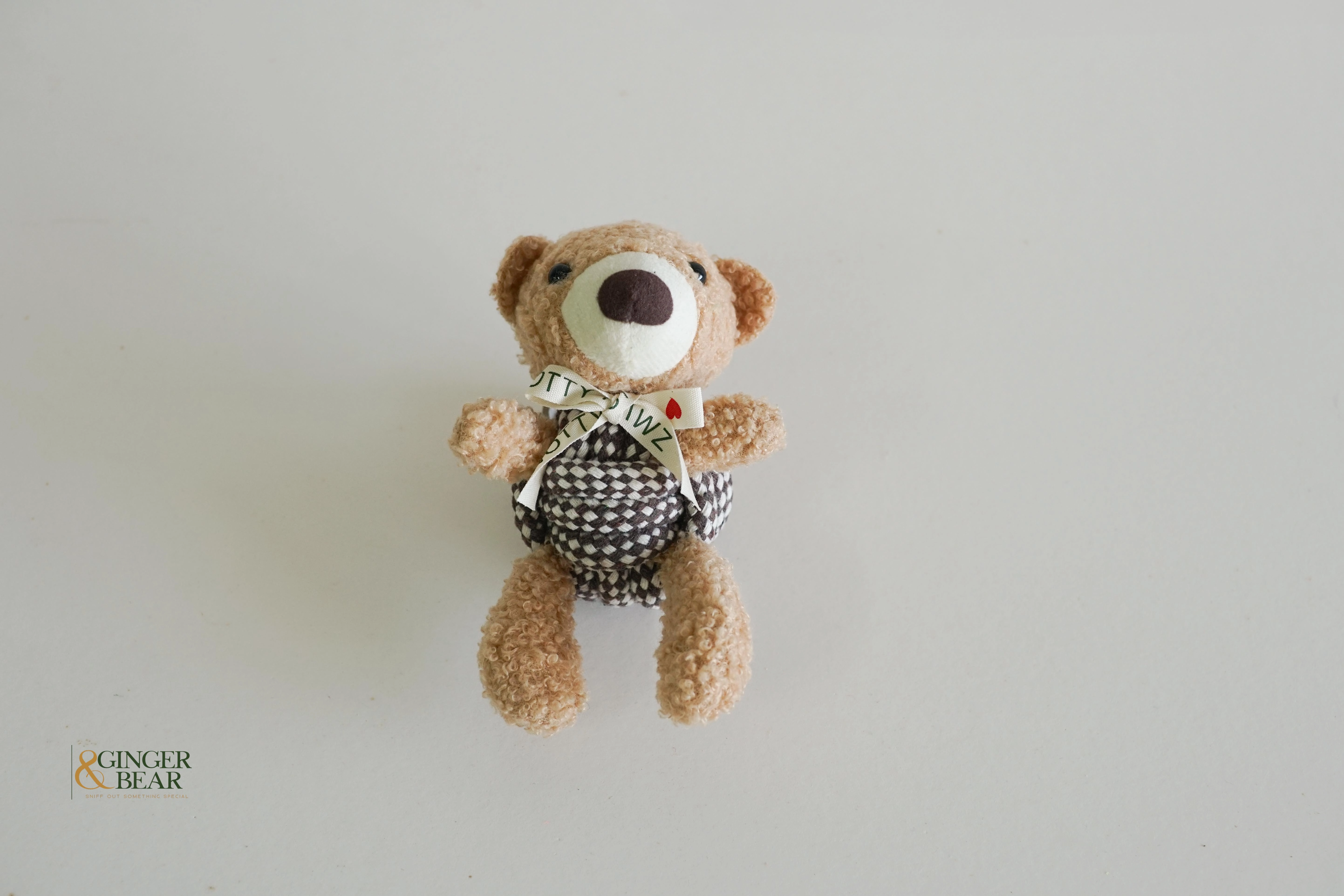 Knotty Squeaky Interactive Rope Dog Toy, Coco the Bear