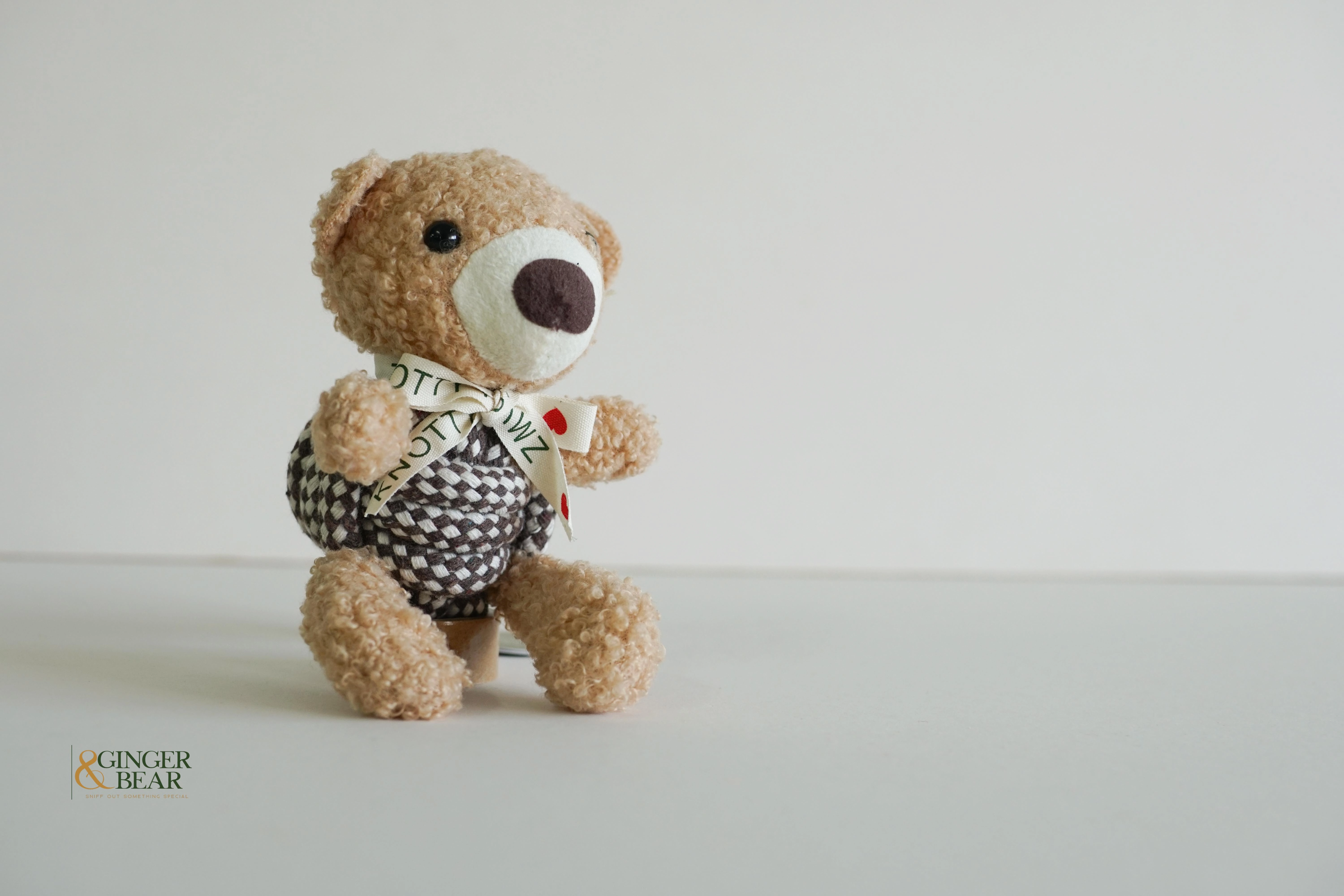 Knotty Squeaky Interactive Rope Dog Toy, Coco the Bear