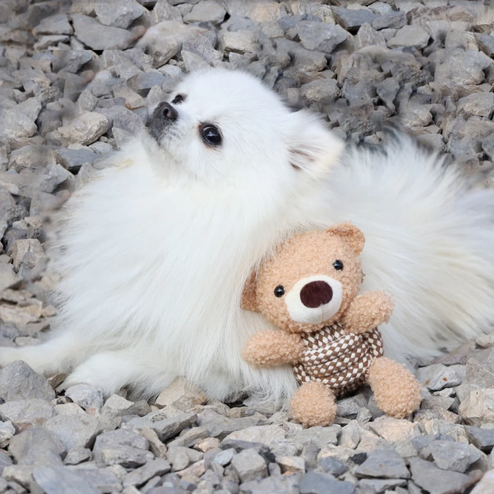 Knotty Squeaky Interactive Rope Dog Toy, Coco the Bear