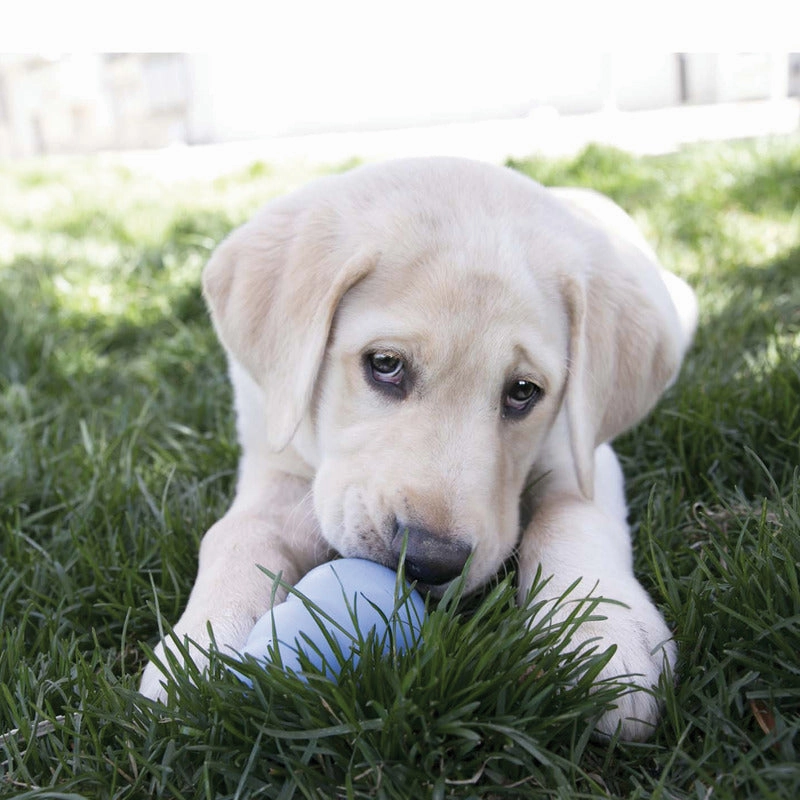 KONG - Snacks Puppy Large (312g)