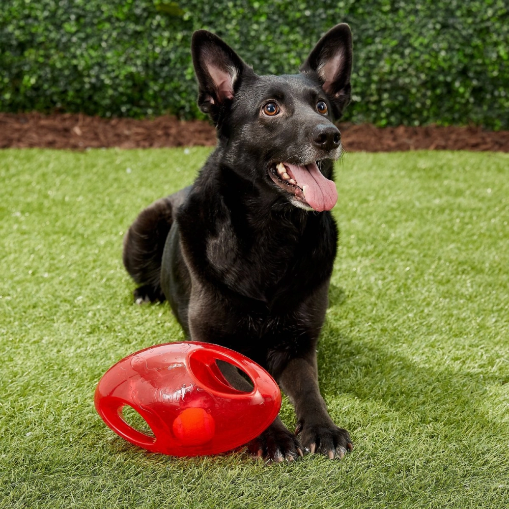 Kong Jumbler Football Toy for Dogs (Red)