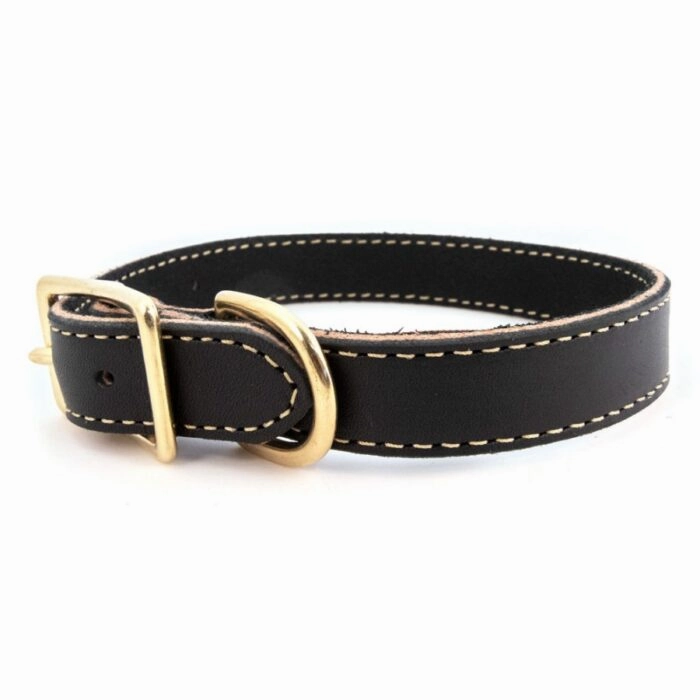 Lake Country Stitched Collar in Many Colors