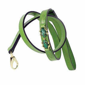 Leap Frog Collection Dog Leash Lime Green