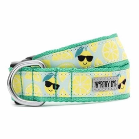 Lemons Collar & Lead Collection