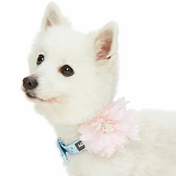 Light Blue Glitter Collar with Flower