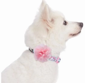 Light Blue Spring Collar with Flower
