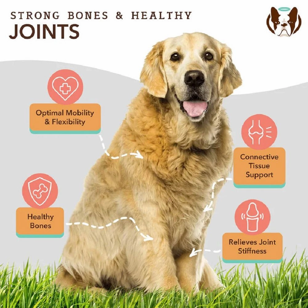 Liquid Glucosamine Hip & joint Oil Food Supplement for Dogs