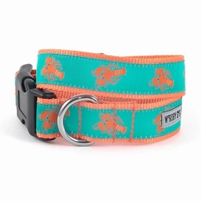 Lobsters Collar and Lead Collection