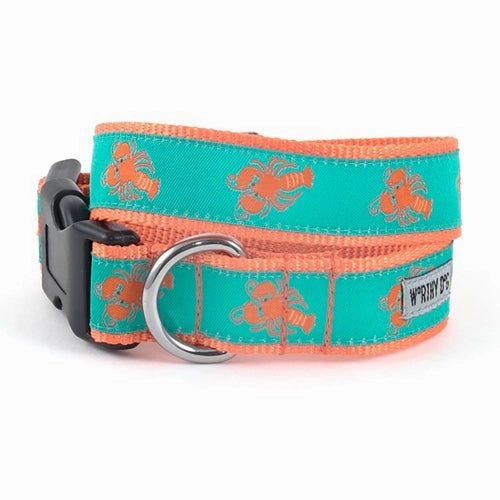 Lobsters Collar and Lead Collection