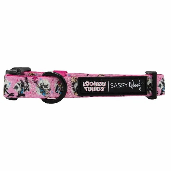 Looney Tunes Pink Collar