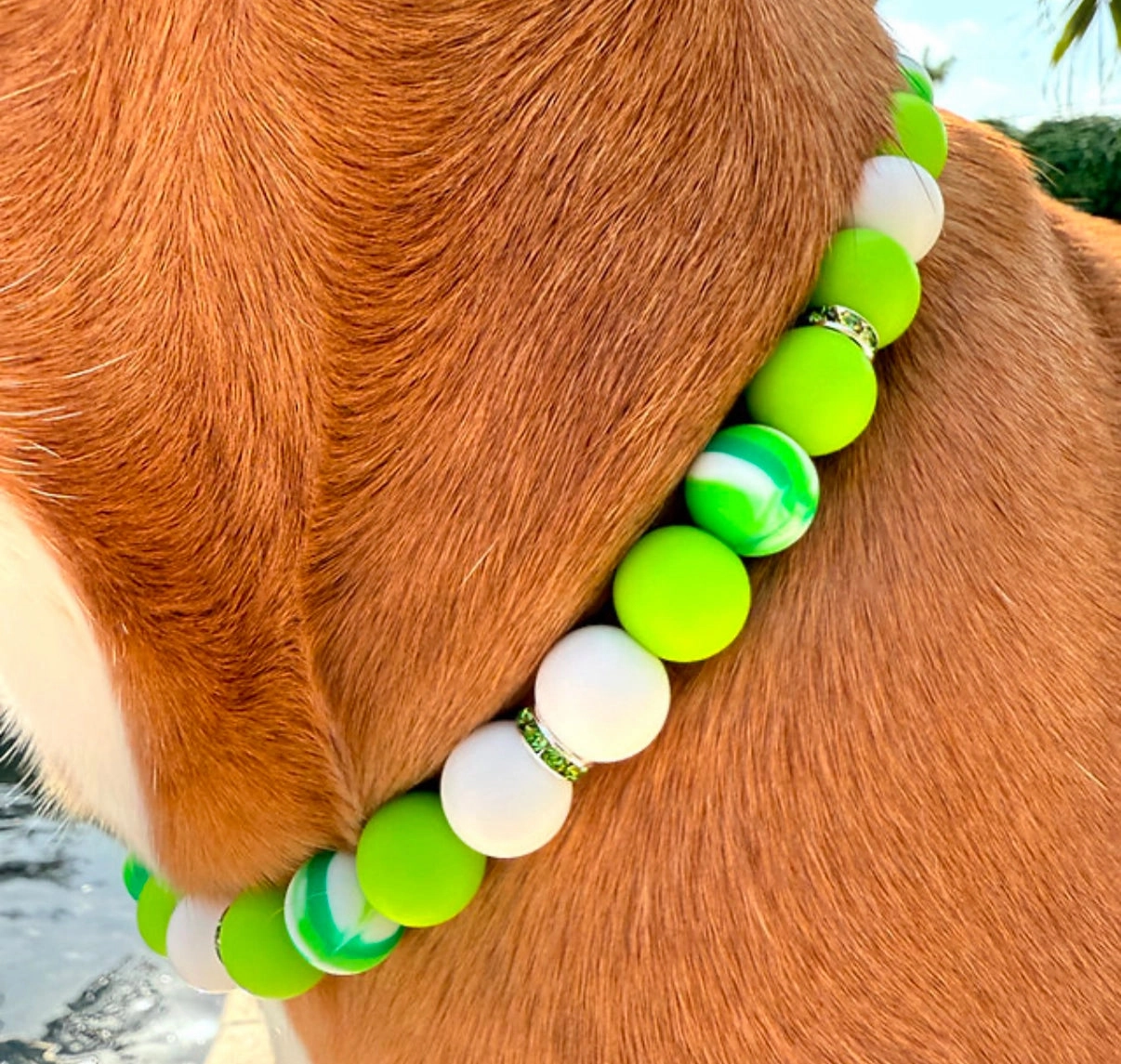 Lucky Charm Beaded Collar