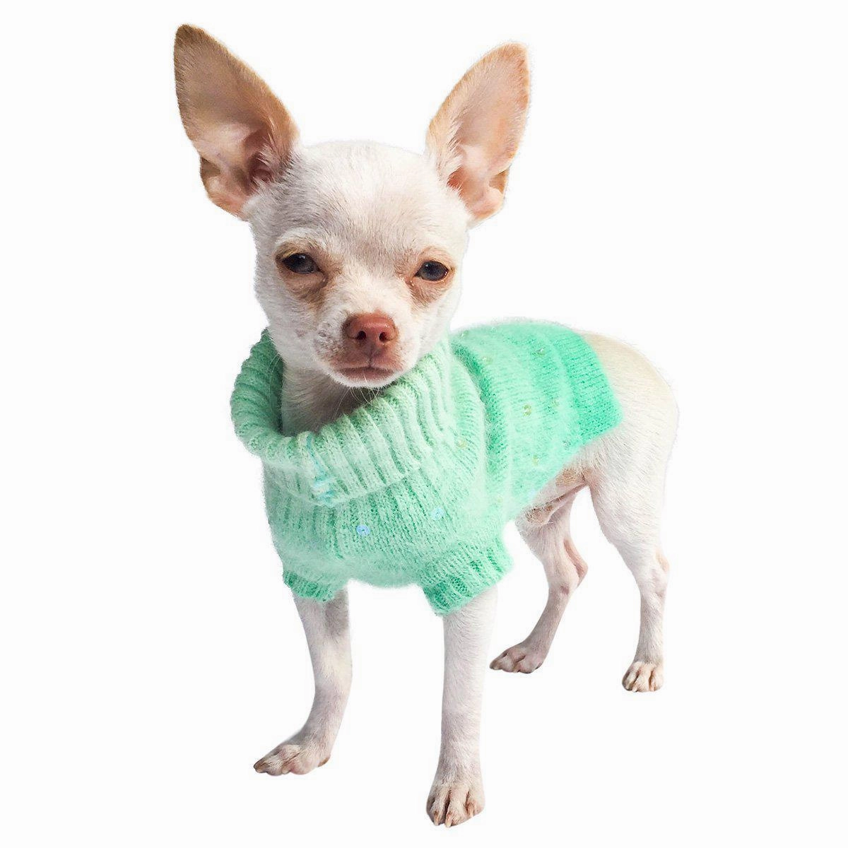 Luxury Sparkle Beverly Hills Dog Sweater Seafoam
