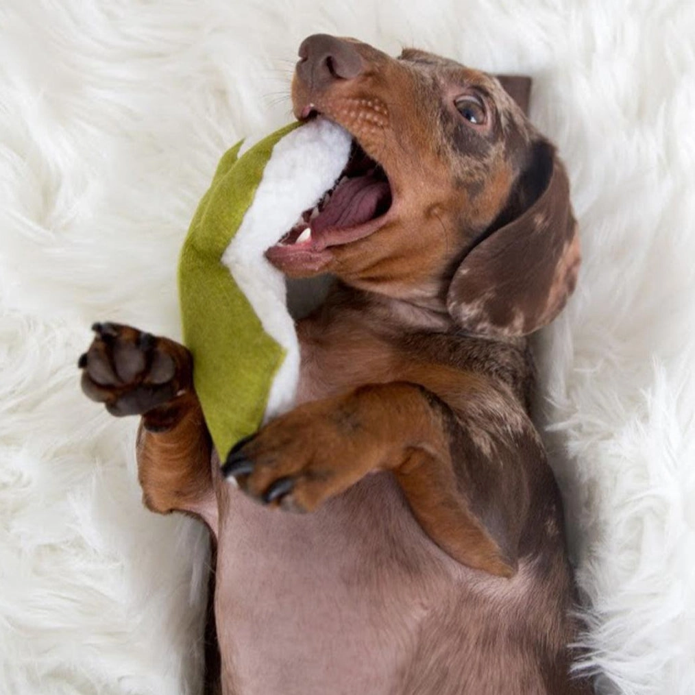Mint Cactus Dog Toy