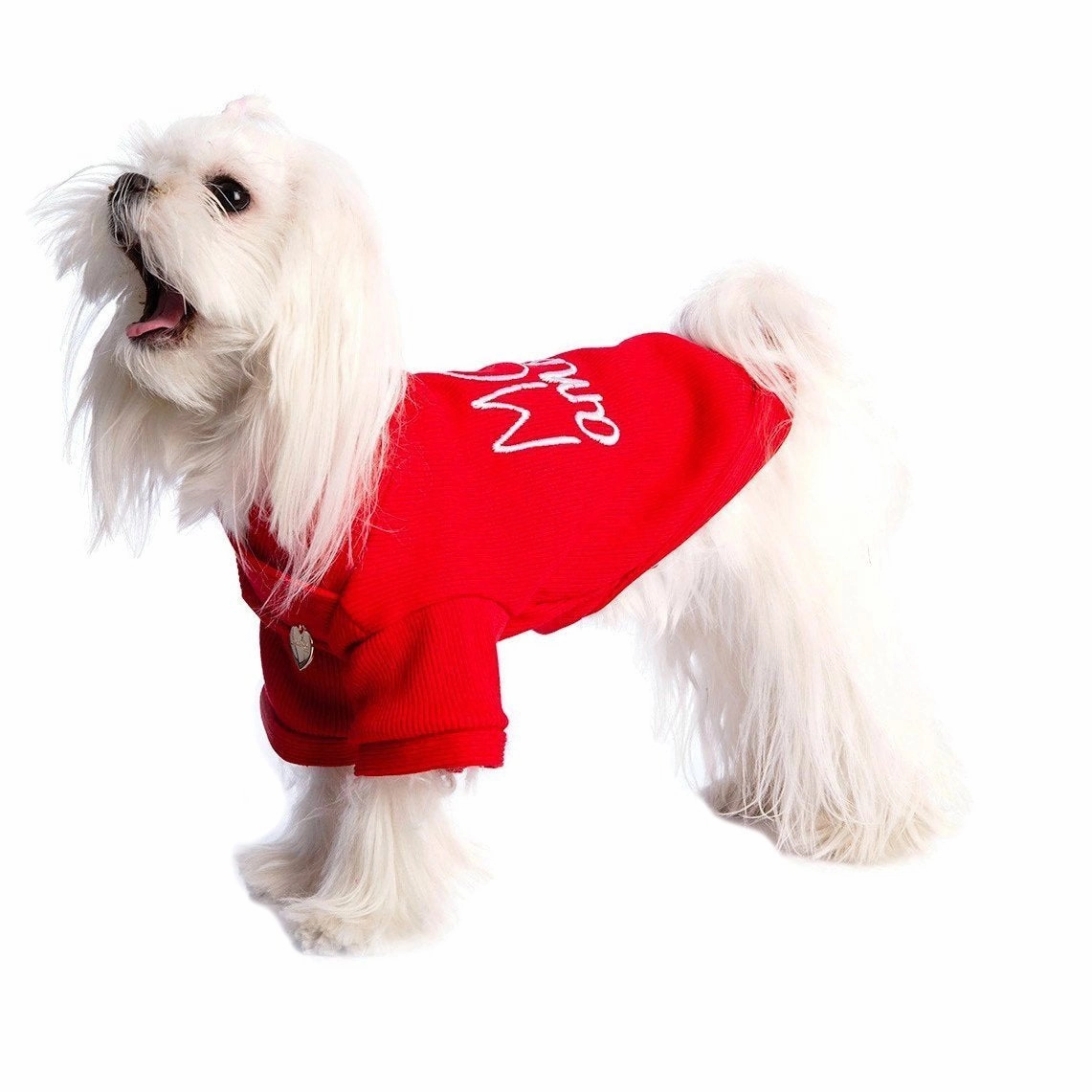 Mon Amour Dog  Sweatshirt