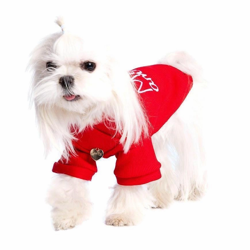 Mon Amour Dog  Sweatshirt