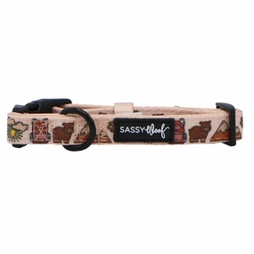 National Bark Collar