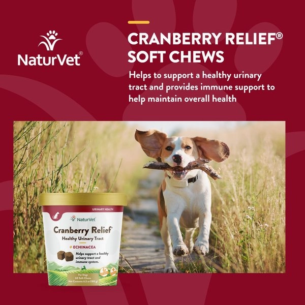 NaturVet Cranberry Relief Plus Echinacea Soft Chew for Dogs