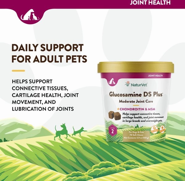 NaturVet Glucosamine DS Plus MSM Level 2 Moderate Care Soft Chews for Dogs