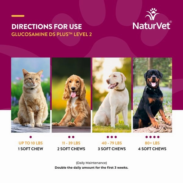 NaturVet Glucosamine DS Plus MSM Level 2 Moderate Care Soft Chews for Dogs