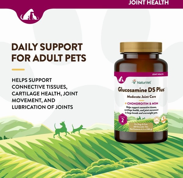 NaturVet Glucosamine DS Plus MSM Level 2 Moderate Care Time Release Chewable Tablets for Dogs