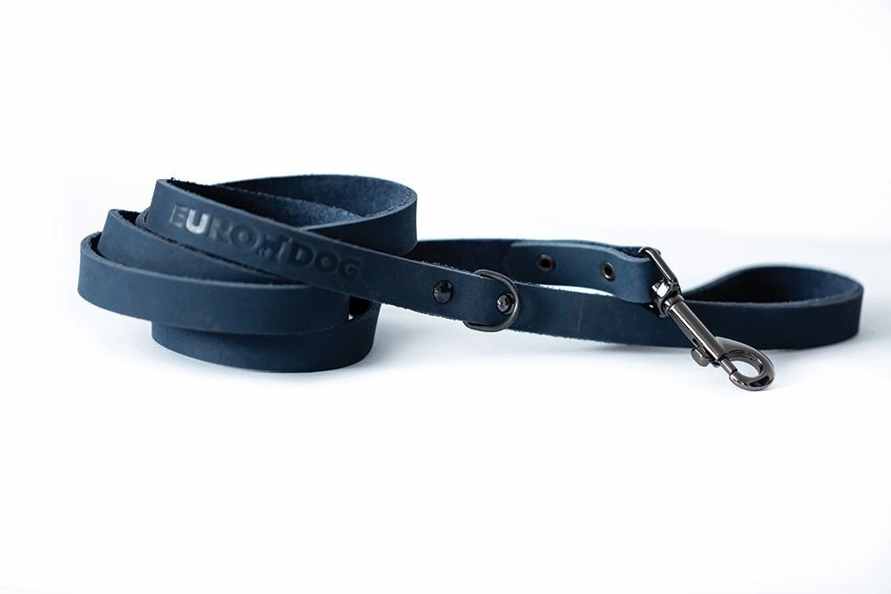 Navy Sport Quick-Release Leather Collar