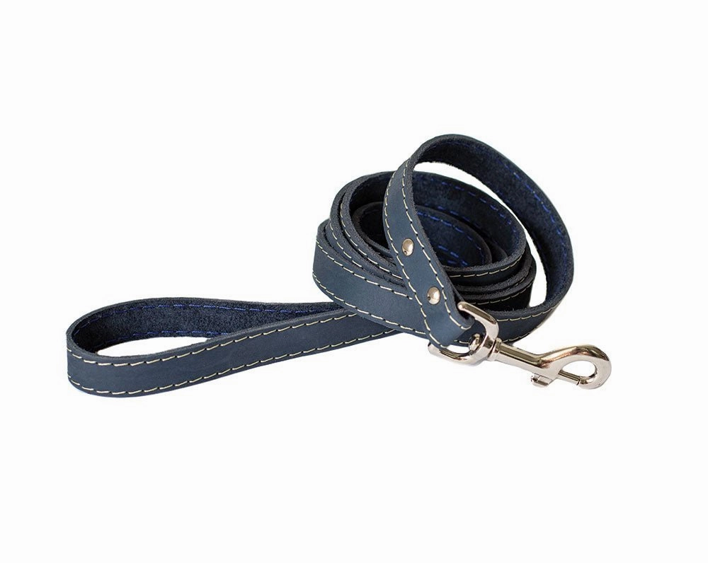 Navy Traditional Buckle Leather Collar